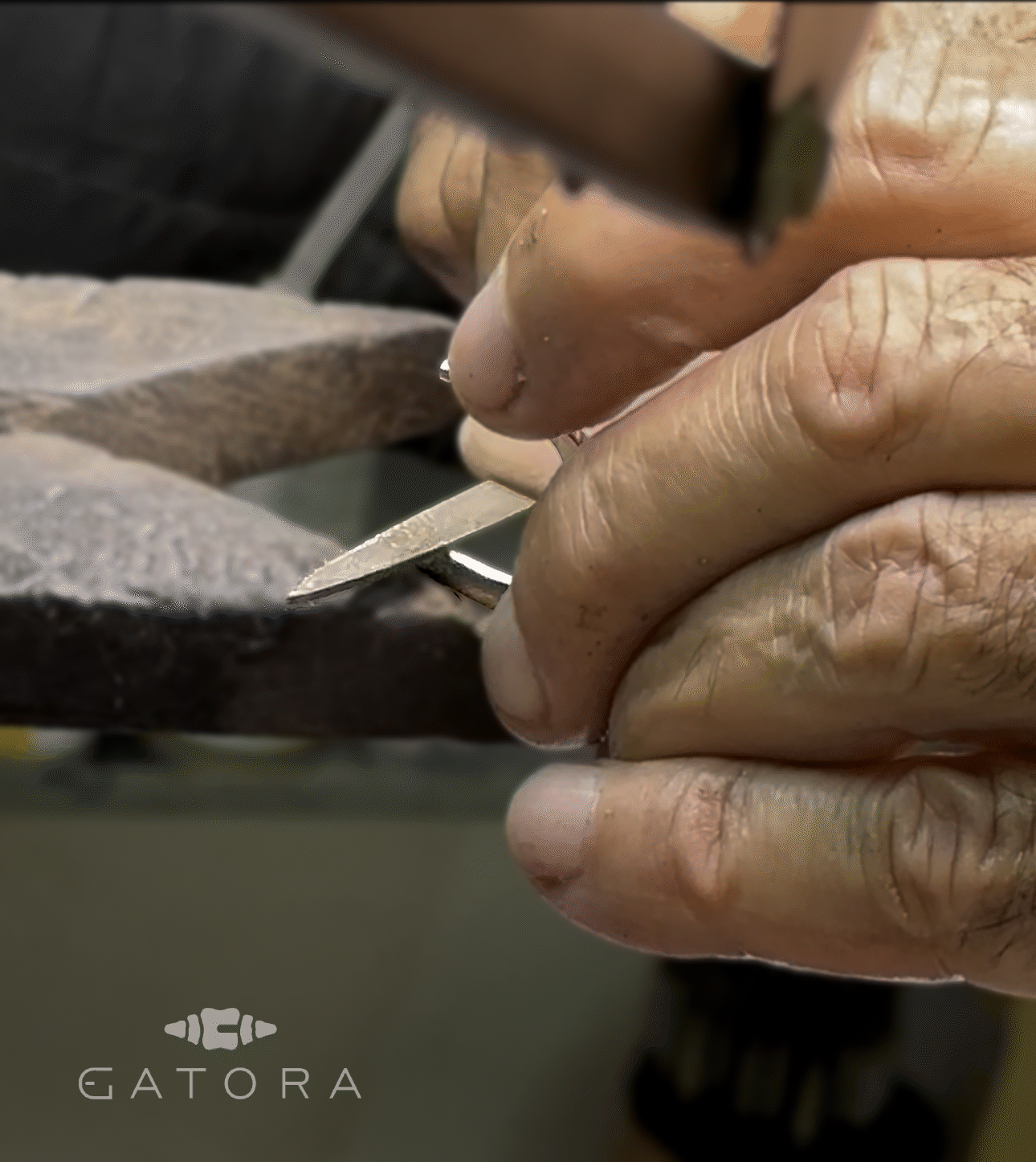 Gatora Caiman Crest — Crocodile Watch Strap with Grade 2 Titanium Buckle - Image 6