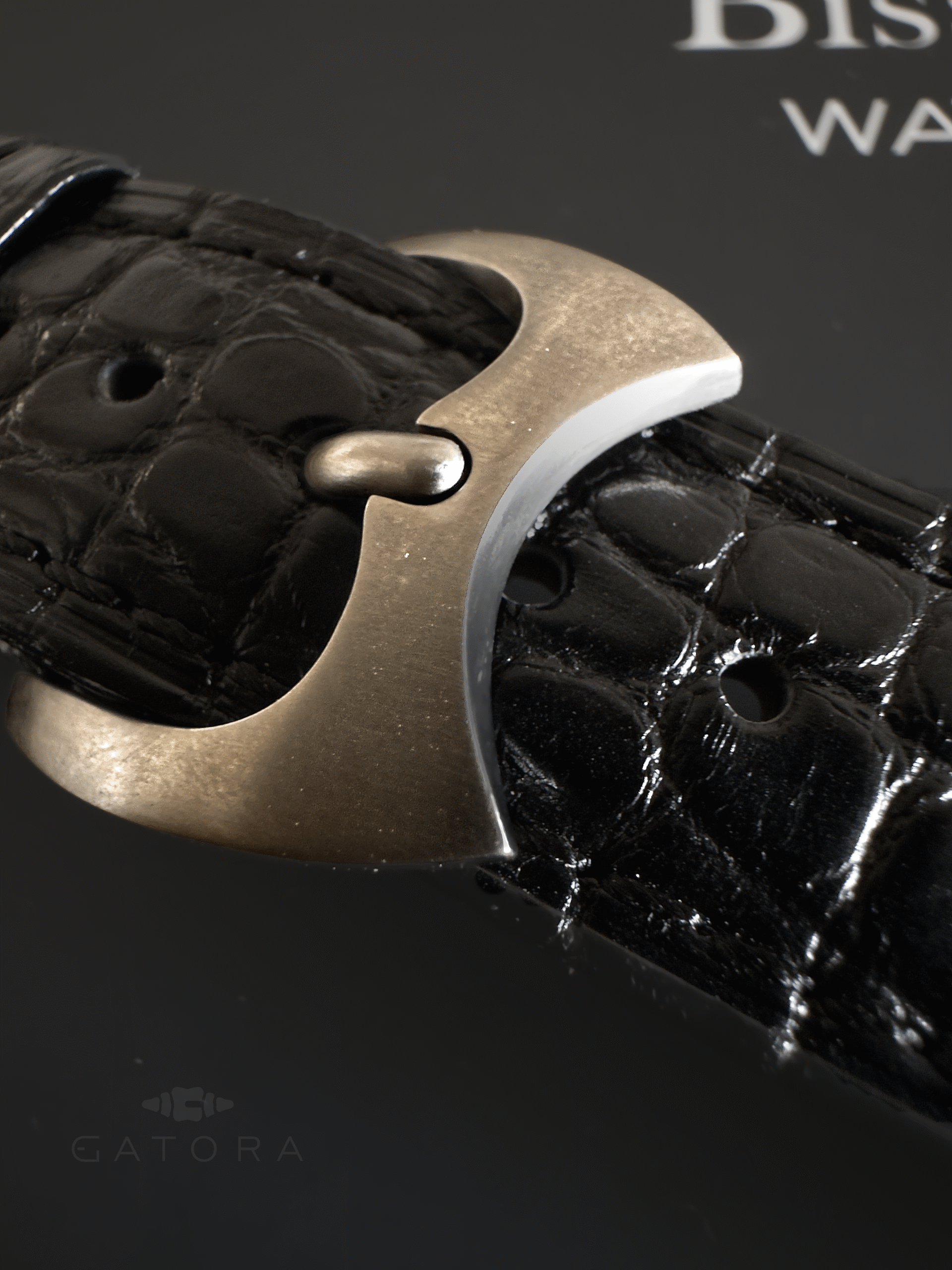 Detalle oscuro de Caiman Crest